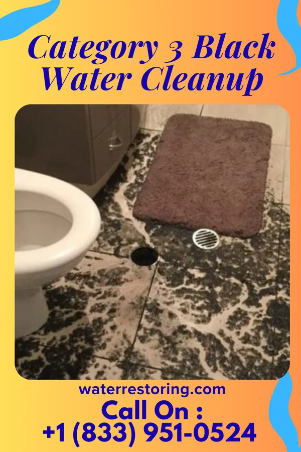 Category 3 Black Water Cleanup in Crab Orchard, KY