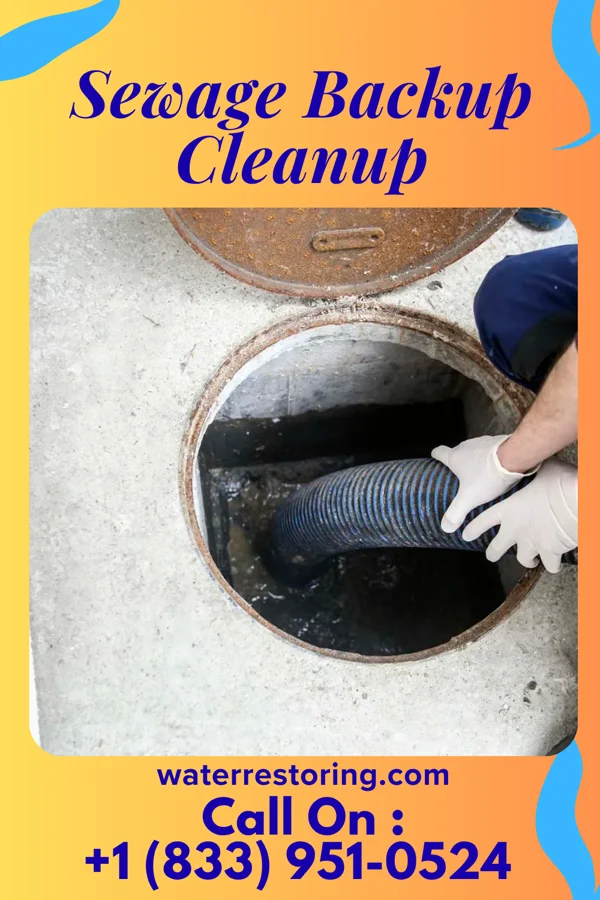 Sewage Backup Cleanup in Crab Orchard, KY